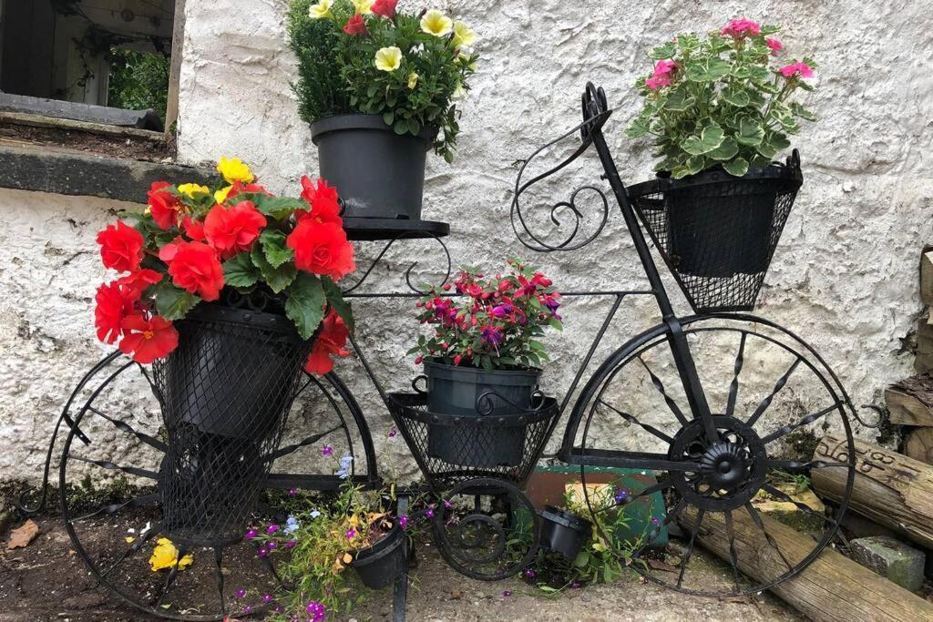 Rhubarb Cottage Enniskillen Kültér fotó
