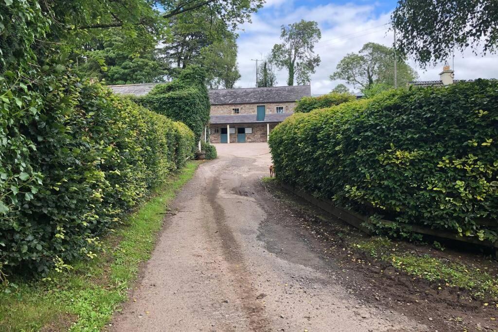 Rhubarb Cottage Enniskillen Kültér fotó