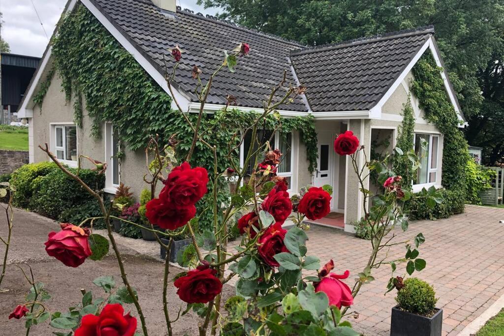 Rhubarb Cottage Enniskillen Kültér fotó
